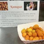 Kumquats in a paper boat with sign